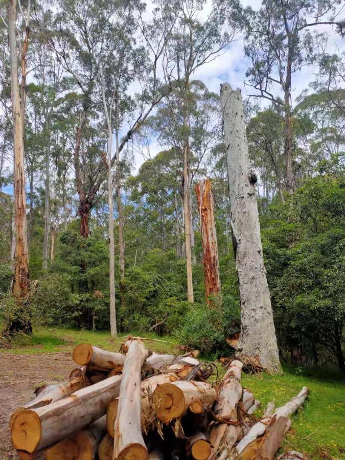 Lakes Entrance Log Cabins Esterno foto